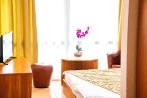 Hotel Mures