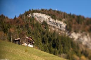 Chalets La Ferme de Juliette : photos des chambres