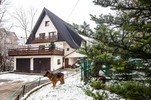 Apartamenty w Centrum - Zakopane