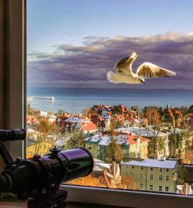 Pokoje przy plaży z widokiem na morze