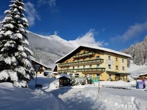 Alpin Appart Reiter- & Alpakahof in Niederthai