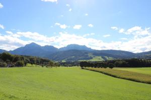 Ferienwohnung Alpenblick