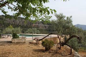 OLIVAR de S’HERETAT Trekkingruta GR-221 (ETV2099)