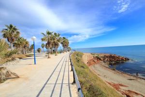 Playa Flamenca Splendid apartment on the beach