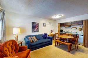 One Bedroom Apartment room in Hi Country Haus Getaway