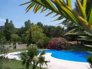 Villa Glycine -Mas de Joseph aux Baux de Provence - 丰维耶