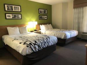Double Room with Two Double Beds - Non-Smoking room in Sleep Inn Hardeeville