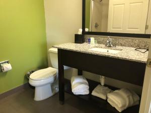 King Room - Non-Smoking room in Sleep Inn Hardeeville