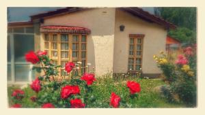 La Tardecita - Valle del Sol