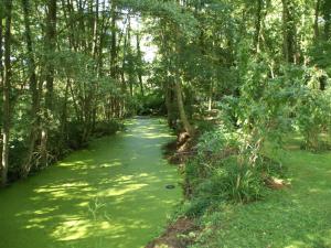 Maisons de vacances Charming Holiday Home in M zy Moulins at Champagne Gates : photos des chambres