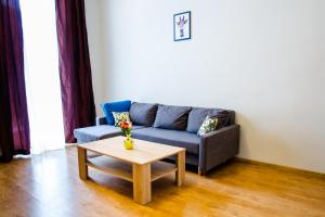 Apartament Brązowy Narutowicza 11