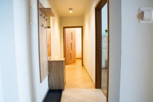 Apartament Brązowy Narutowicza 11