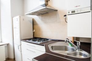 Apartament Brązowy Narutowicza 11