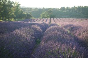 Appartements Chez Gilles Math : photos des chambres