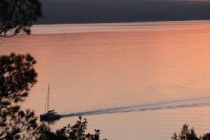 Apartments Nedo Dalmatia