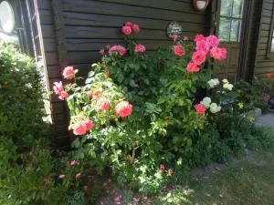 Kastanienhof - 奥尔本尼兹