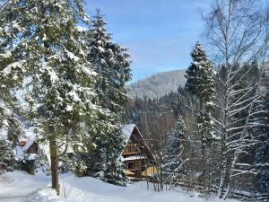 Winterfell Korbielów - dom z basenem sezonowym