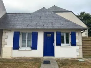 Mimosas - Langouhèdre