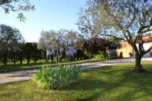 B&B / Chambres d'hotes Le Nid au Pied du Mont Ventoux : photos des chambres