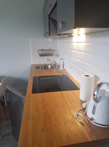 Apartament Kamienna Góra