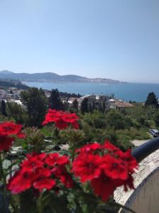 Бар Шушань Апартаменты Главановича 25