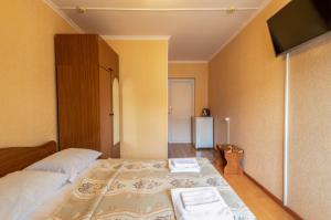 Large Double Room room in Ararat Guest House