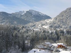 Appartements Chalet Genepi : photos des chambres