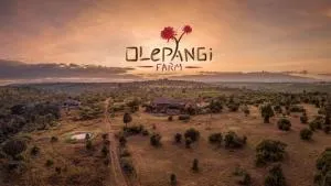 Olepangi Farm - Nanyuki