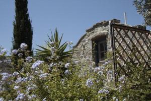 To The Garden Paros Greece