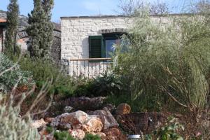 Two-Bedroom House (Olive's House)