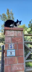 Trilocale Margine Rosso img67