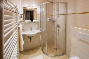 One-Bedroom Apartment room in Hotel Appartement Platzergasse