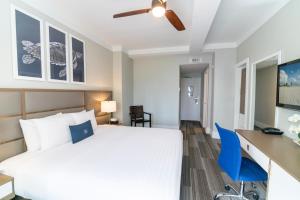 Superior King Room room in San Juan Hotel Miami Beach