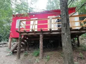 Las Zarinas 3 - La Bajada