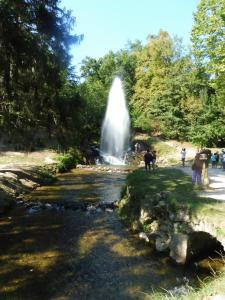 Campings Camping le Moulin du Roy : photos des chambres