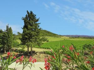 Appartements Tranquil Stay in Villeseque : photos des chambres