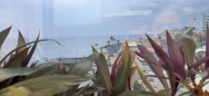 Beira Mar Rio Vermelho 02