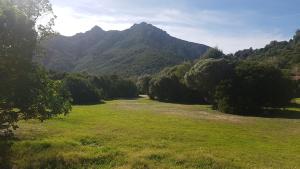 New Camping Coccorrocci img90