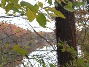 Milford Motel On the River