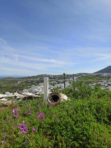 Sifnos View Sifnos Greece