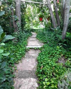 La Casa de Huéspedes