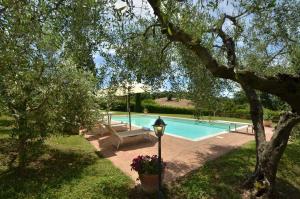 Il Passo Degli Ulivi