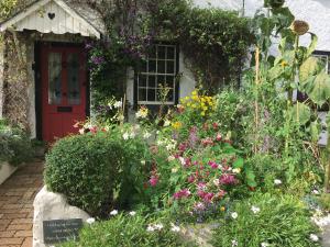Charming Devon Cottage near Quay-Rain Shower, Restaurants & Free Parking
