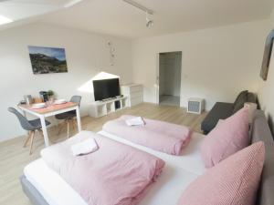 BERGFEX Falkenberg 304 mit Sommer-Bergbahnticket