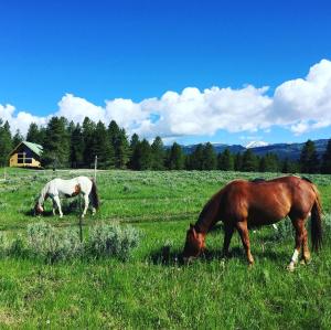 Kantada in the Trees - 4hvězdičkové hotely ve městě Island Park