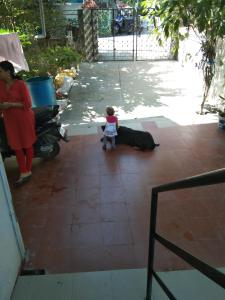 Horizon View Bed & Breakfast