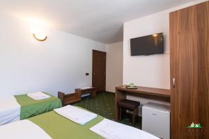 Pensiunea 3 Brazi Zarnesti