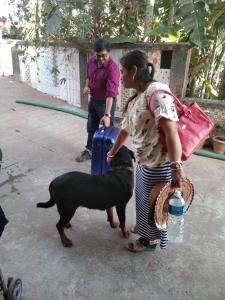 Horizon View Bed & Breakfast