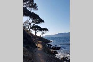 Appartements Appartement deux pieces , climatise, terrase, Cavalaire : photos des chambres