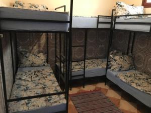Bunk Bed in Female Dormitory Room   room in Hostel Dream belko